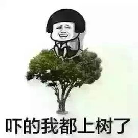 最初的九九主播照片