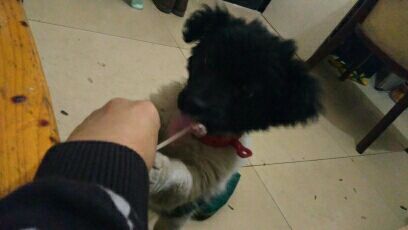 菲戈打望℃到處亂逛的主播照片