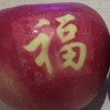 随遇而安rn$