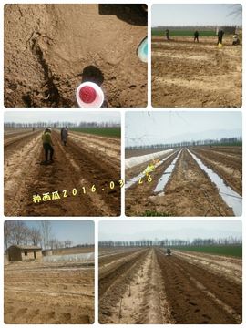 一秒钟の记忆主播照片