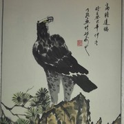 微信_9241681