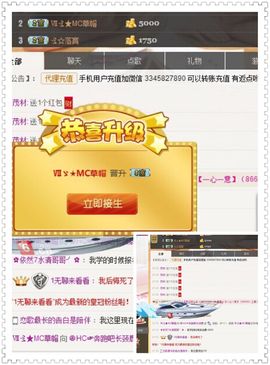 鹿鹿回来啦主播照片