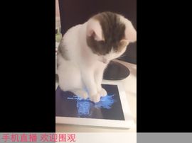 しovの可兮﹏主播照片