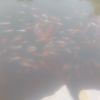★多情★海报