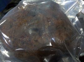 过往皆是浮云主播照片