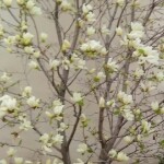 Ⅶゞ★懂你