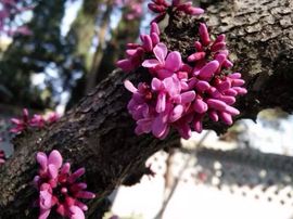 温柔的姑娘！主播照片