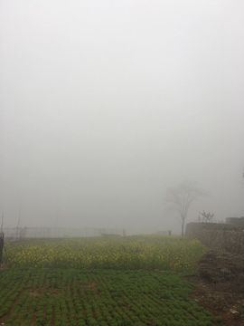 小龙恩@简简单单主播照片