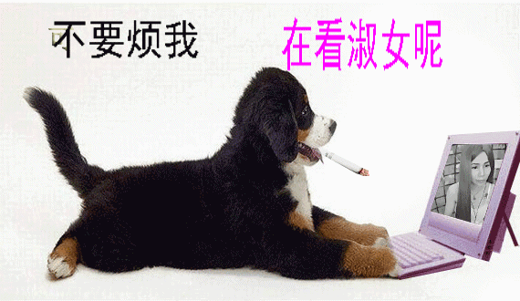 陈思郦🍀听经典🍀的图片