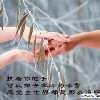 永恒的爱*l海报