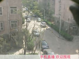 德德乐乐赫赫主播照片