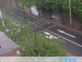 --纸__鸢--主播照片