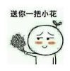 送你一把小花
