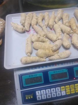 过往皆是浮云主播照片