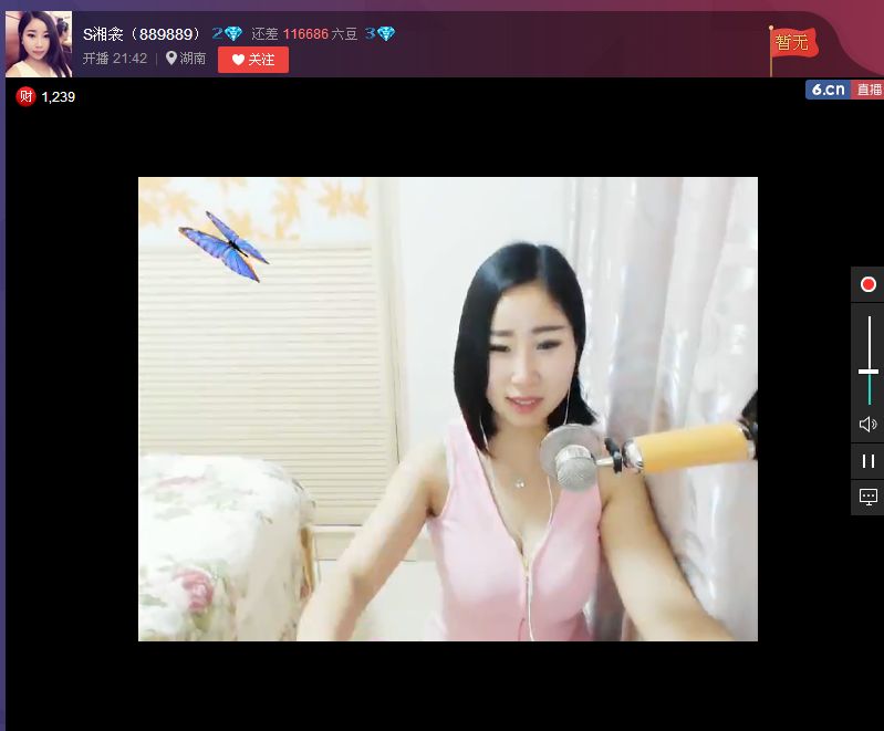 亲切家族的图片