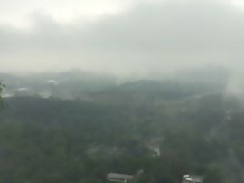 一人走茶凉主播照片
