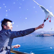 冰冰点点心海报