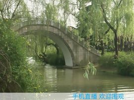 冬寒飞雪、主播照片