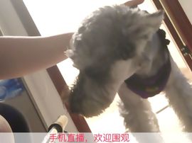 小阿文-主播照片