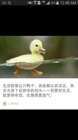 阿拉拉头绪啊主播照片