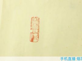冬寒飞雪、主播照片