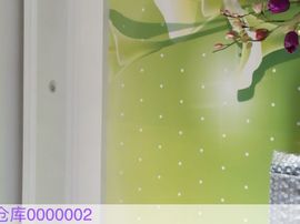 仓库0000002主播照片