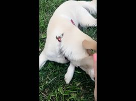 善丶静静的唱歌主播照片