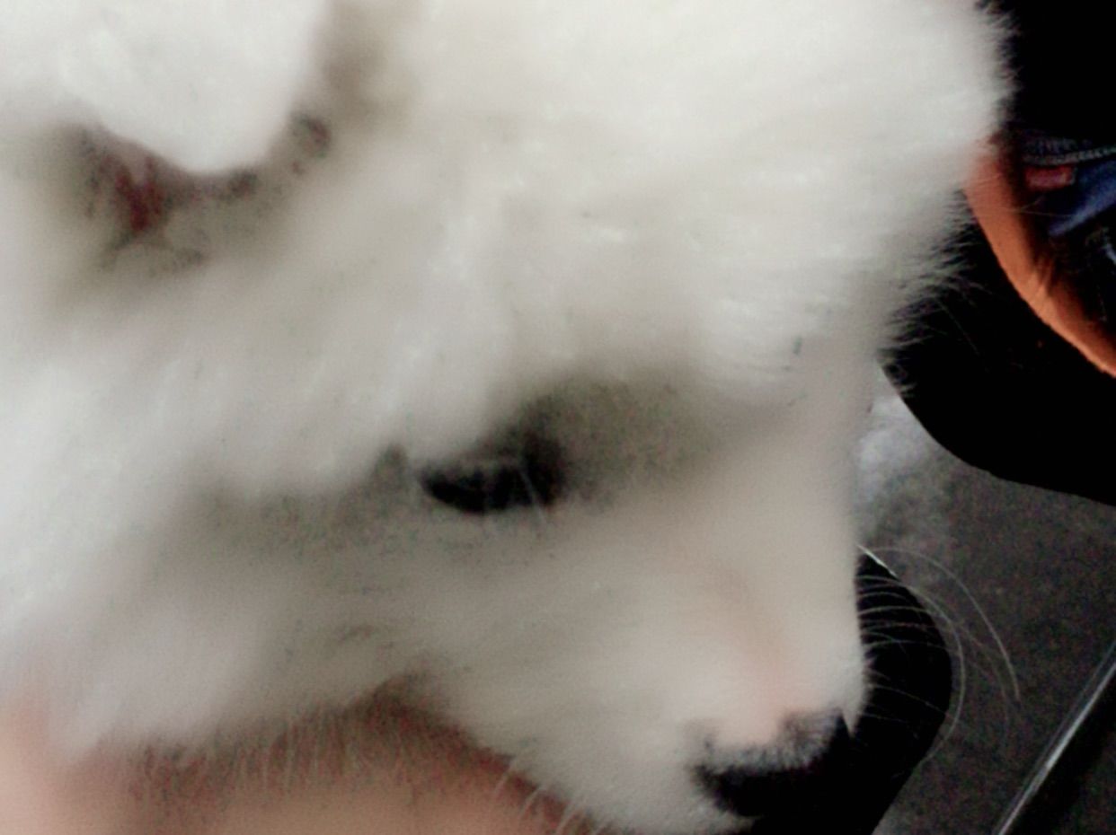 喝红牛的大宝贝J的主播照片