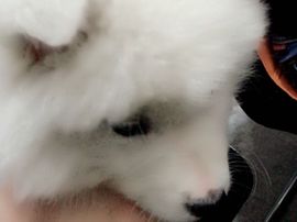 喝红牛的大宝贝J主播照片
