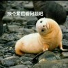 长曲弓拉弦唱