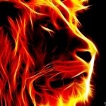 观光团*🐯往昔🐯海报