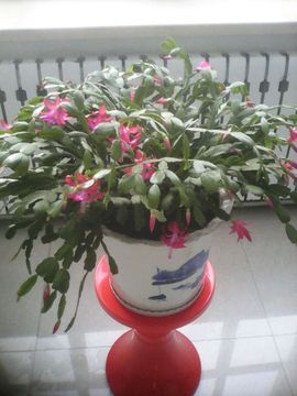 ☜★草原小公主☞主播照片