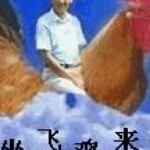 一笑儿过笑看红尘海报