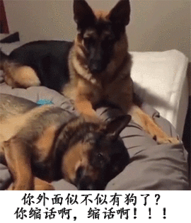 ┈━═☆❤筱磊★主播照片