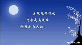 玫瑰花4113025主播照片
