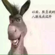 大萝卜和大兔子