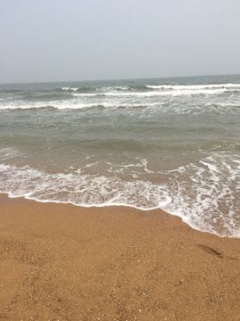 ❤心爱主播照片