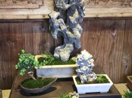 冬寒飞雪、主播照片