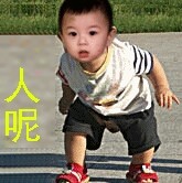醉＊＊随缘