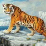 老虎🐯霸道