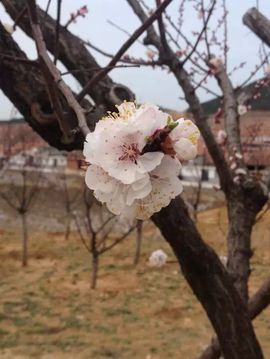 ╰菡哆哆ゞ``主播照片