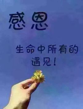 ℱs❀伏姗主播照片