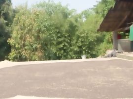 小花儿♥主播照片
