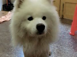 乐文就爱扯淡主播照片