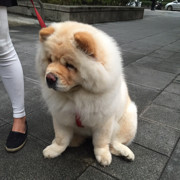 Mr.月半