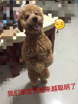 单凭气质撂倒你，!主播照片