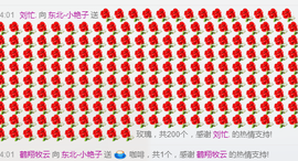 艳子在见到你们真好主播照片