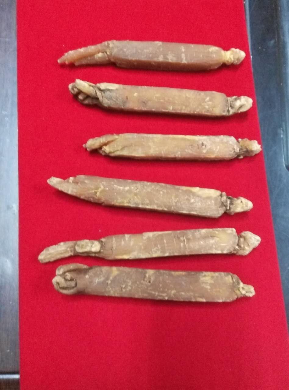 过往皆是浮云的主播照片