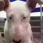 幼儿园刚毕业22