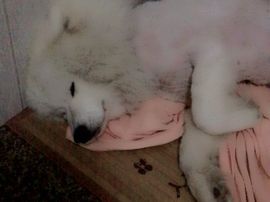 乐文就爱扯淡主播照片